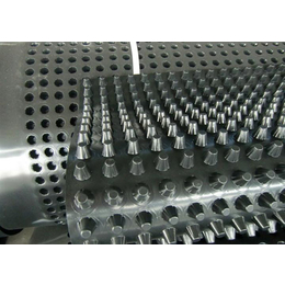 聚乙烯塑料排水板-周口塑料排水板-东诺工程材料