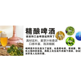 山西精工自酿啤酒机-精工自酿啤酒机包学习-国铂油脂工程