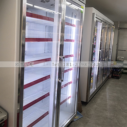 惠州商用冷藏冰柜定制厂家