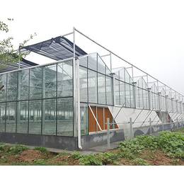 千宏温室(图)-蔬菜温室大棚多少钱一平方-蔬菜温室大棚