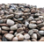 黑色鹅卵石-永诚园林无中间环节-黑色鹅卵石货源充足缩略图1