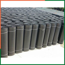 绿化塑料排水板厂家供应-华耀工程-绿化塑料排水板