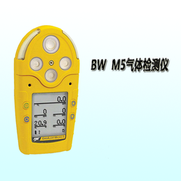 加拿大BWM5复合气体检测仪voc有机化合物检测仪厂家价格