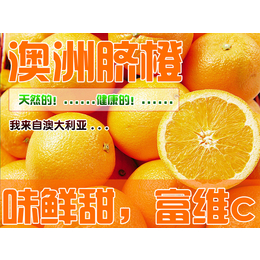 进口柠檬类水果产品清关公司铸造*