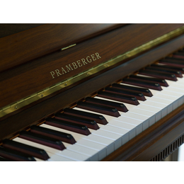 珠江恺撒堡钢琴-湖南珠江钢琴-长沙蓝音国产钢琴(查看)