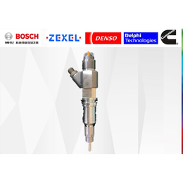 共轨喷油器价格-共轨喷油器-欣中农(查看)
