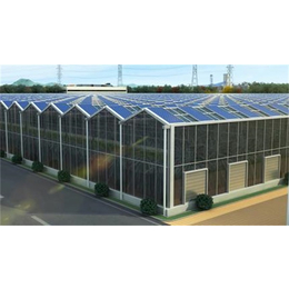 玻璃温室工程造价-玻璃温室工程-立辉润悦公司