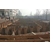 晋城拉森钢板桩支护-华岳锦博地基工程公司-拉森钢板桩围堰缩略图1