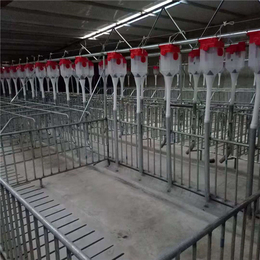驻马店养猪设备-牧鑫养殖设备供货稳定-养猪设备批发