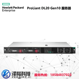 HPE ProLiant DL20 Gen10 机架式服务器