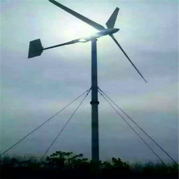 小型三叶式风力发电机家庭用电供应风光互电系统