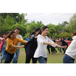 团建策划-成都第三力量训练(在线咨询)-成都团建