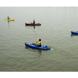 水上电动冲浪板厂家-滨州水上电动冲浪板-九江海神摩托艇