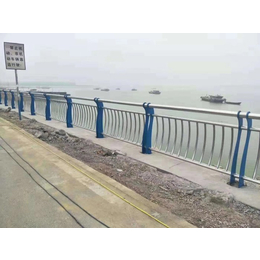不锈钢桥梁护栏-山东神龙护栏制造公司(在线咨询)