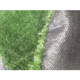 隆德环保草坪-巨东化纤绳网现货充足-环保草坪网
