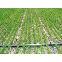PE农田灌溉管质量-山东恒冠管业-PE农田灌溉管