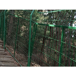 嘉峪关护栏网-超兴铁丝防护网-绿色养殖场护栏网