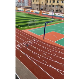 邢台塑胶跑道-金达鑫体育设施工程-硅Pu塑胶跑道