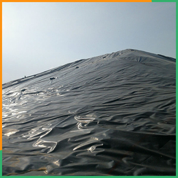 湿地公园HDPE土工膜-土工膜-土工布(在线咨询)