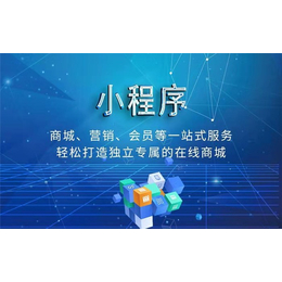 襄阳高新区微信小程序-手机微信小程序-运涛科技(诚信商家)