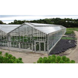 蔬菜温室大棚-齐鑫温室玻璃大棚-蔬菜温室大棚工程