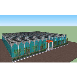 齐鑫温室大棚施工工程-阳光板温室大棚施工多长时间