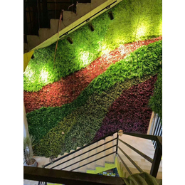 室外绿植隔断墙安装-美尚园艺-品质保证-云南绿植隔断墙安装