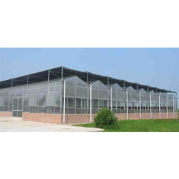 玻璃温室哪家好-葫芦岛玻璃温室-青州市瑞青农林科技