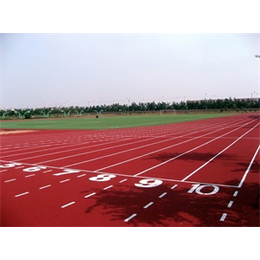 北京塑胶跑道公司-北京塑胶跑道-天津市金康体育