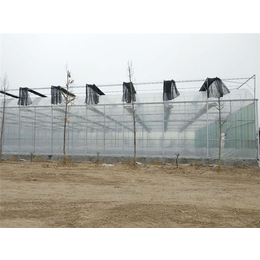 广西大型连栋温室湿帘风机自动化温室“本信息长期有效”