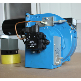 隆鑫热能设备-低氮燃烧机-低氮燃烧机改造节能