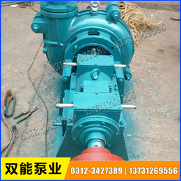 双能水泵厂-天津150DT-40脱硫泵