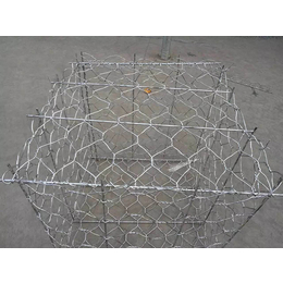 腾安丝网(图)-石笼网厂家-石笼网