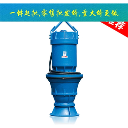 QZB潜水轴流泵-轴流泵厂家-天津 中蓝泵业