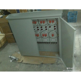 潍坊防爆配电箱-安能达防爆电器-防爆配电箱生产