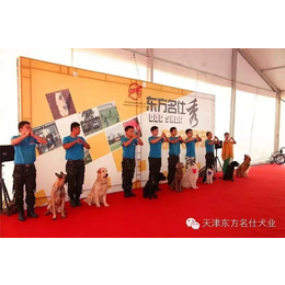 宠物训练哪家*-静海宠物训练-东方名仕犬类训练服务