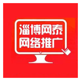 淄博网泰科技(图)-滨州外贸营销多少钱-滨州外贸营销