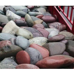 固原混色鹅卵石-永城石材批发色泽*-混色鹅卵石图片