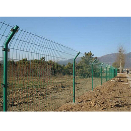 绿色圈地护栏网-通化护栏网-超兴铁丝防护网