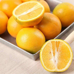 青皮橙子果品-红彝冰糖橙果品-呈贡区橙子果品