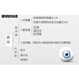 儿童视力筛查仪-视力筛查-南京戴明视加盟(查看)