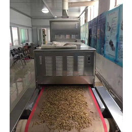 惠州脱水蔬菜灭菌机-科弘微波*-脱水蔬菜灭菌机公司